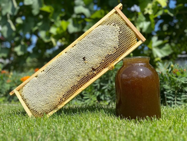 Мед акацієвий, весняний, соняшниковий