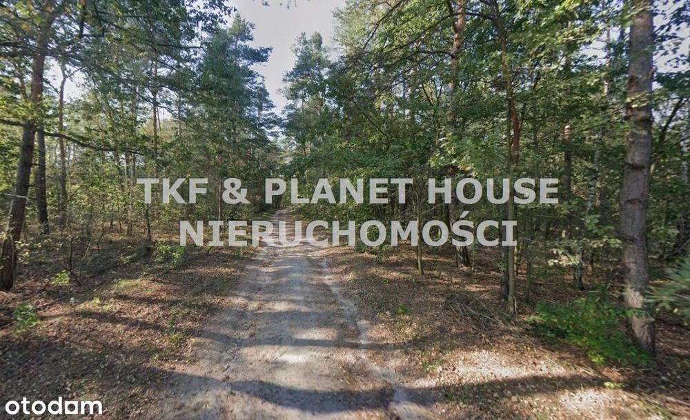 Działki rolno-leśne Olimpiów/ Mniszków