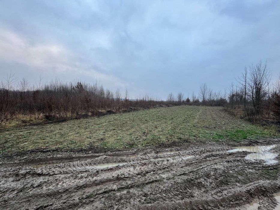 Продаж земельної ділянки в Якушинцях