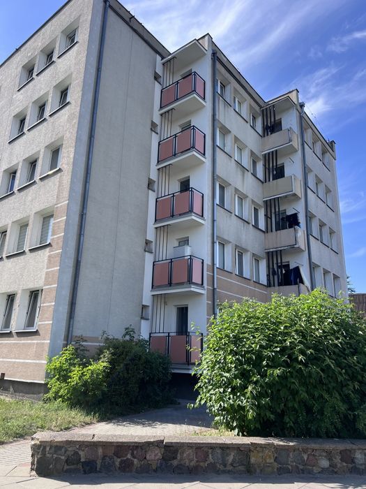 Zdjęcie 8