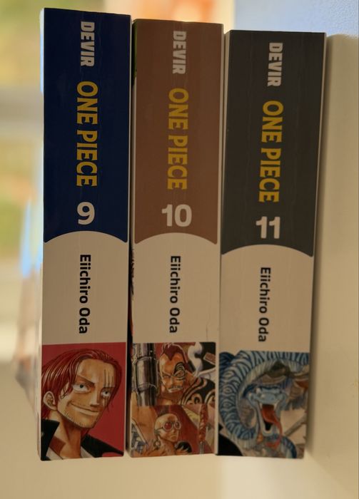 Livros e bau de one piece