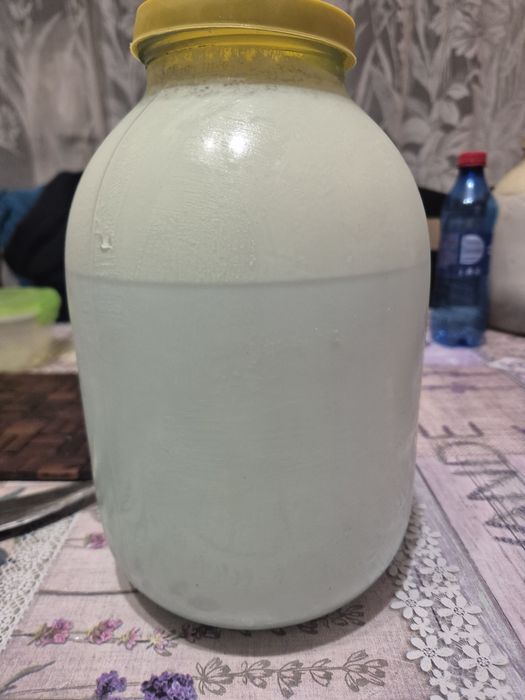 Продається корова