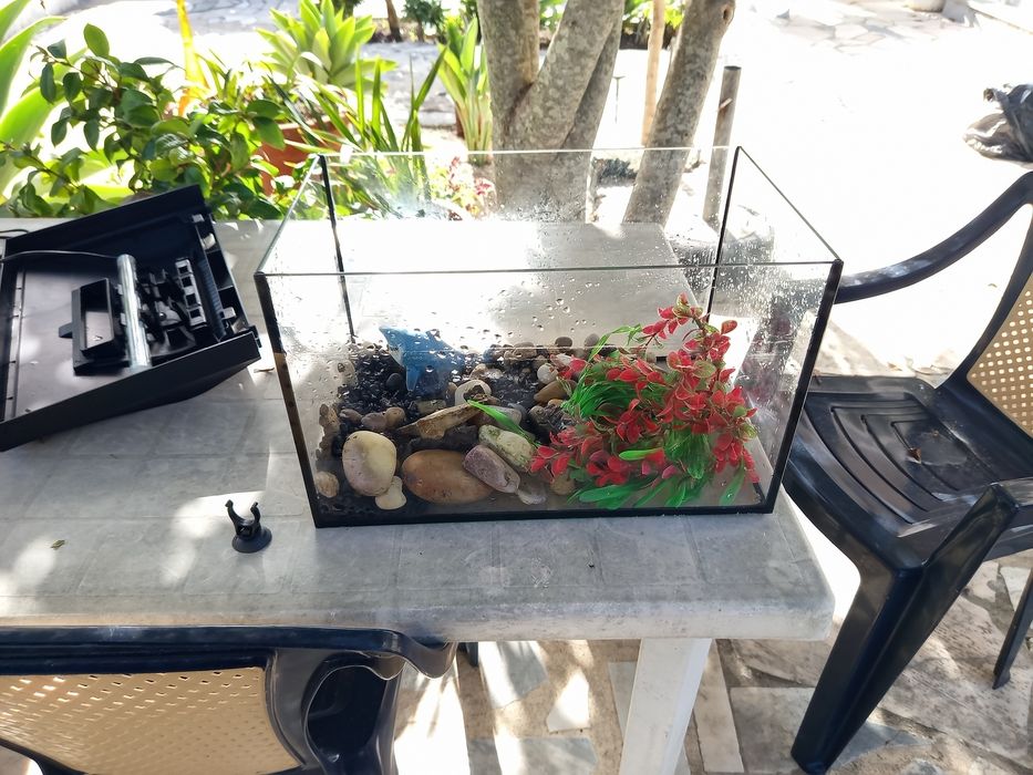 Aquário para Tartarugas
