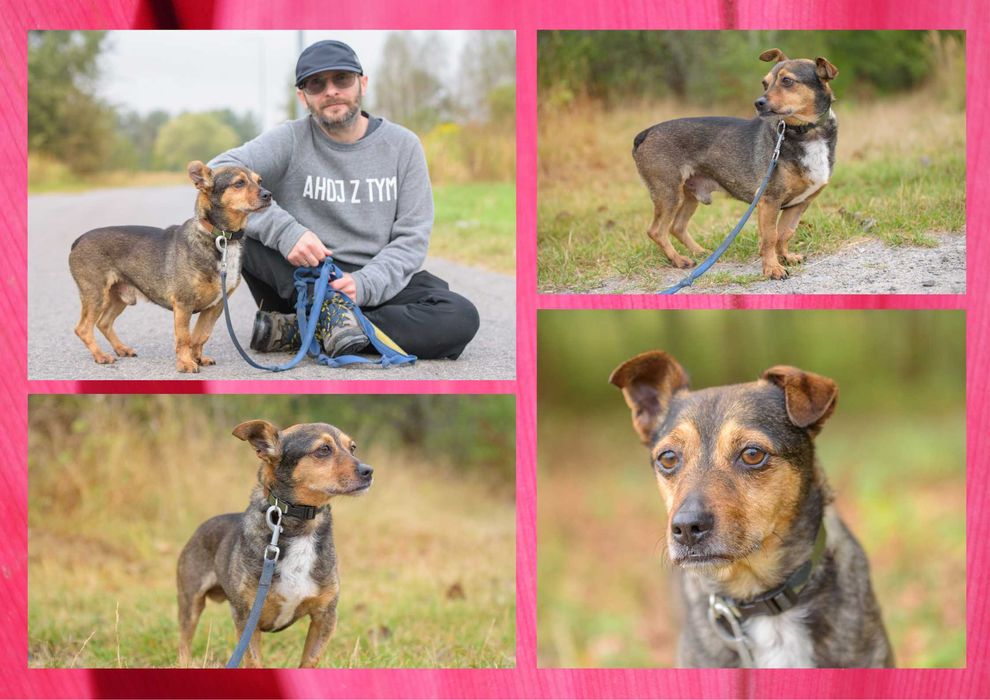 MILMO - marzy o nowym domu i rodzinie