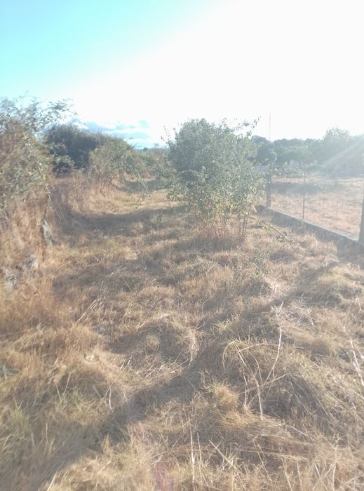 Terreno em Alcains venda urgente