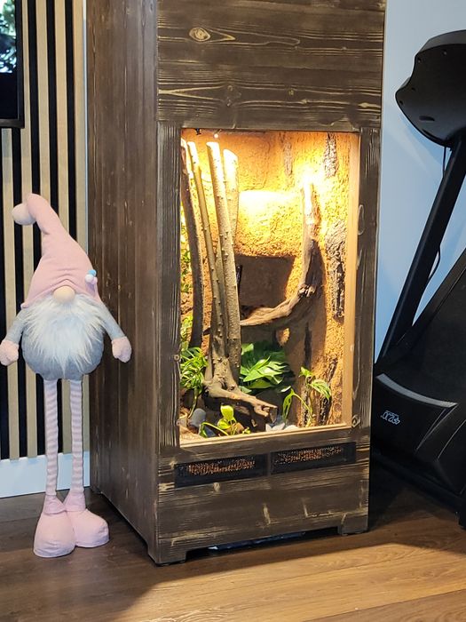 Terrarium z jaszczurką bezobsługowe