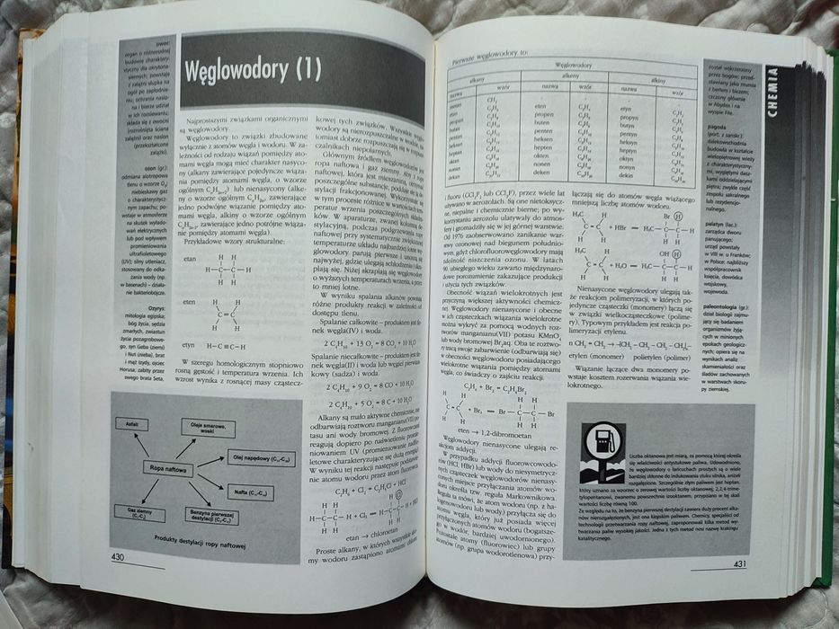 Nowa encyklopedia szkolna, wyd. Zielona sowa