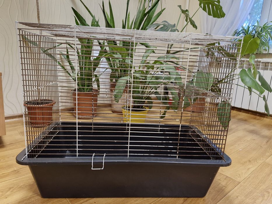Клітка для тварин (гризунів)