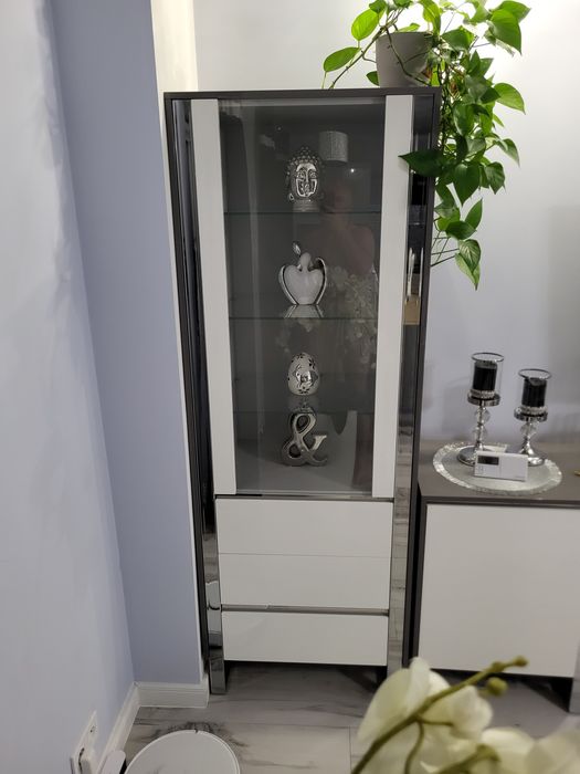 Szafa witryna glamour