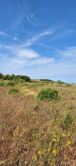 Terreno Rústico  junto Aldeia