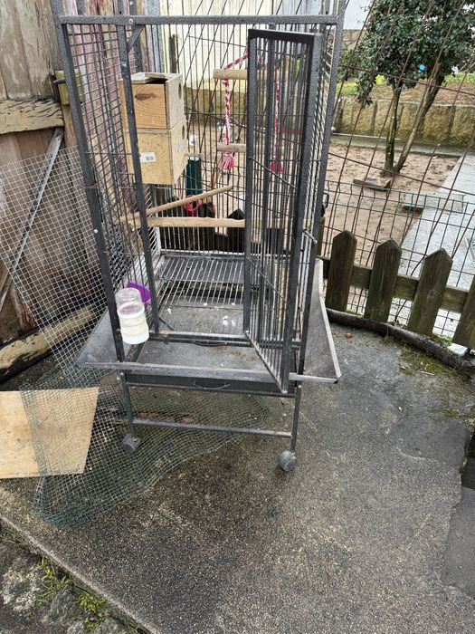 Gaiola para papagaio