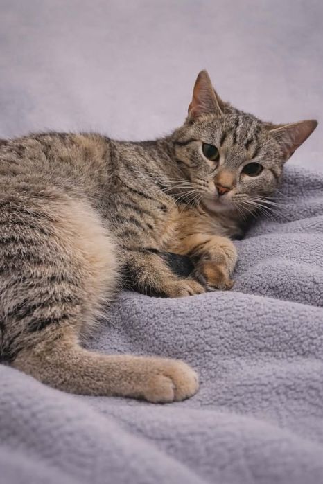 Marzenka – delikatna dusza, która potrzebuje czasu i miłości