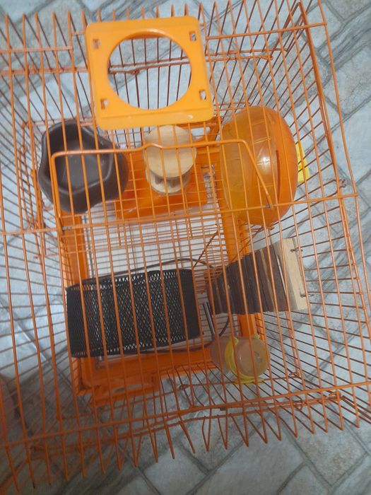 Клітка для гризунів