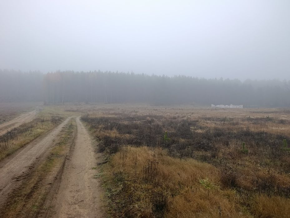 Działki budowlane z wz i mpzp - Ugoszcz (w pobliżu lasu)