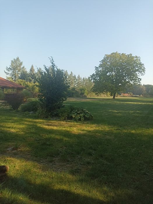Sprzedam działkę. Elżbiecin.