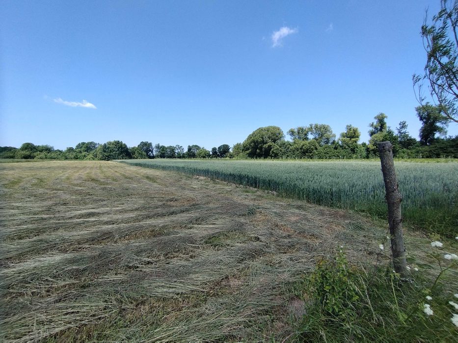Продаж ділянки в селі Лукашівка 55сот. ОСГ