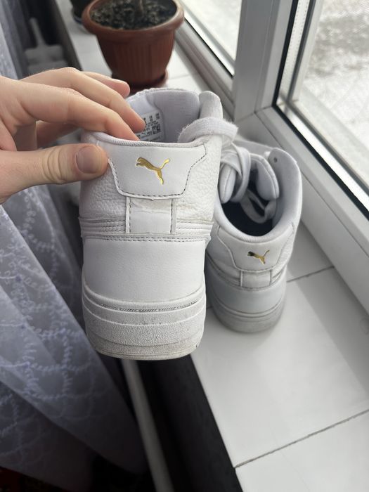 кросівки puma білі