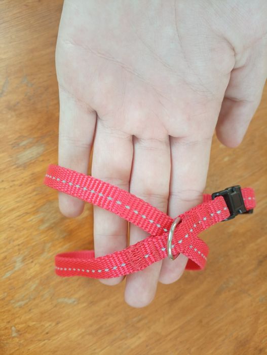 Шлейки для собаки или кота