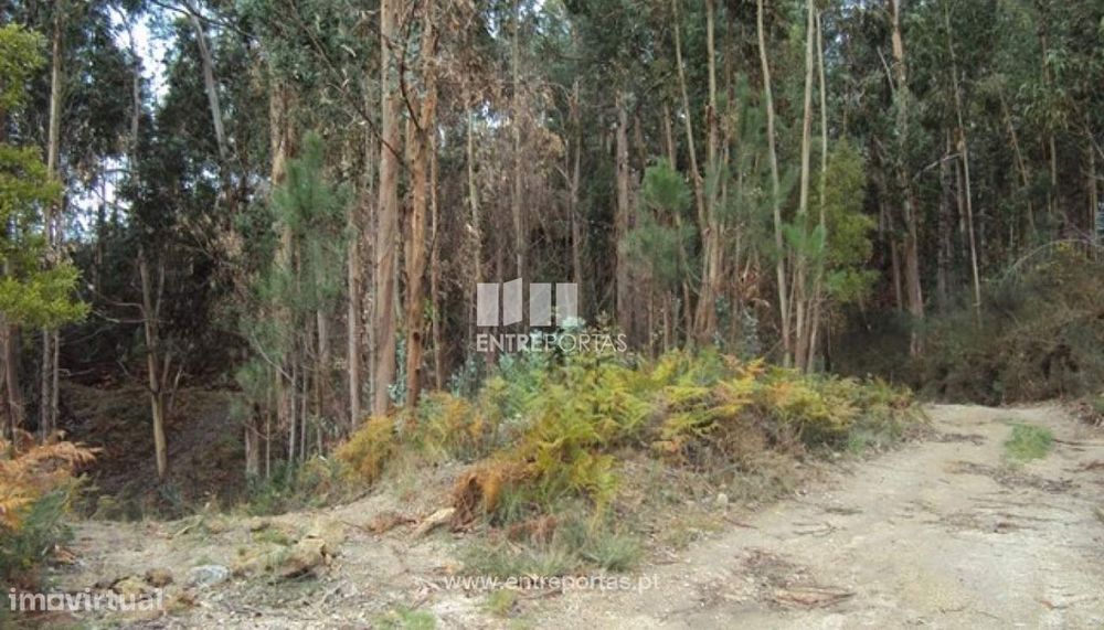 Venda Terreno, Croca, Penafiel — Marco, Porto