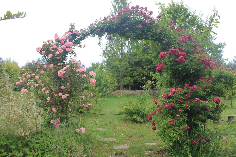 casa de campo em madeira na natureza