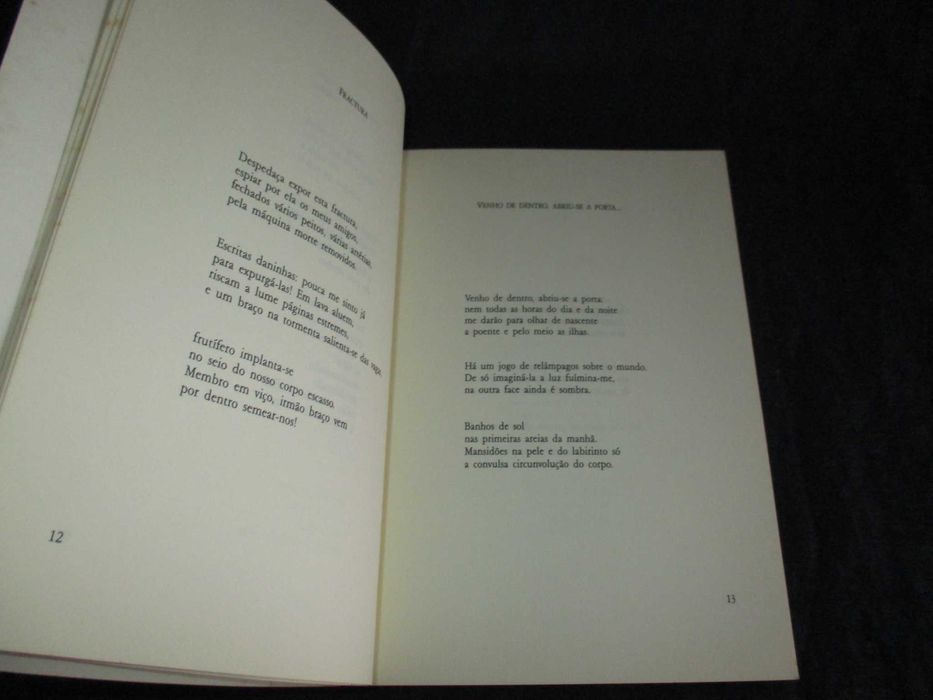 Livro A Lume Luiza Neto Jorge