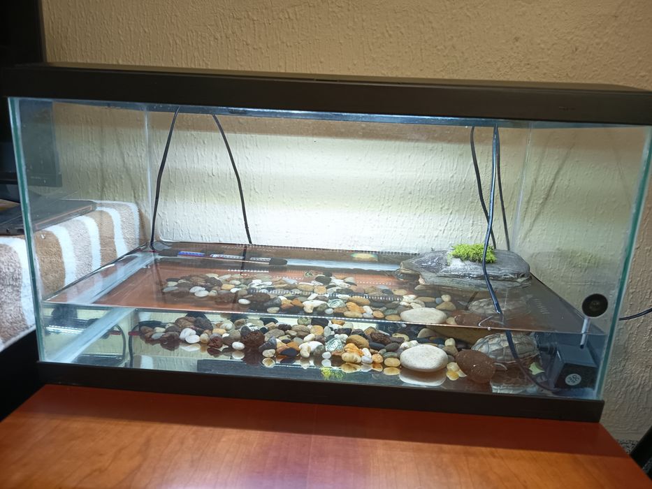 Vendo este aquário 60x32x30