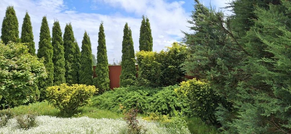 Продам будинок с. Бузова  Житомирська траса. Любимівка. Гореничі Без %