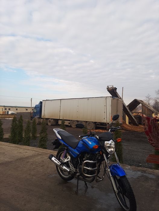 Кінлонг 150сс 2019р