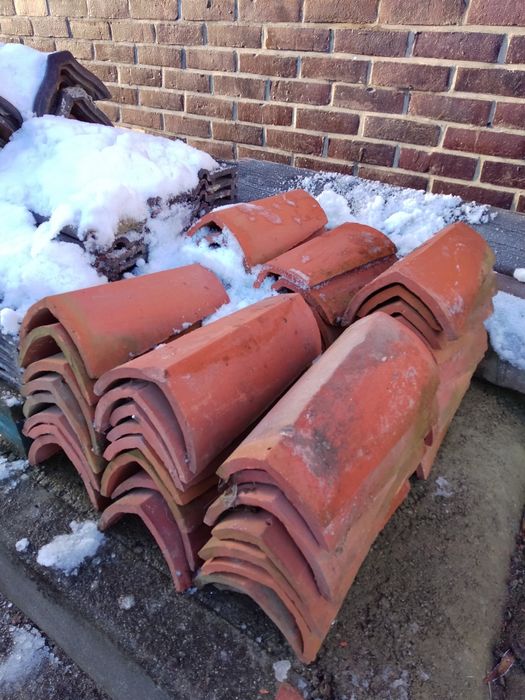 Gąsiory dachowe 50 sztuk