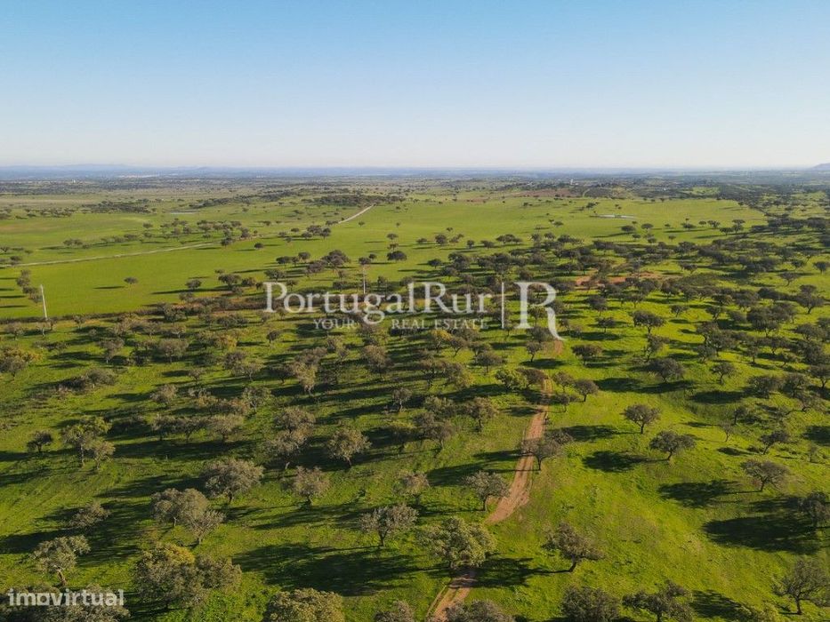 Herdade 390 hectares para Agropecuária e Painéis Fotovoltaicos