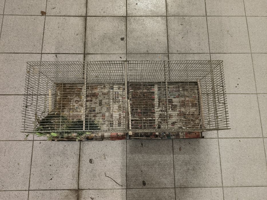 Gaiolas Reprodutores 1m