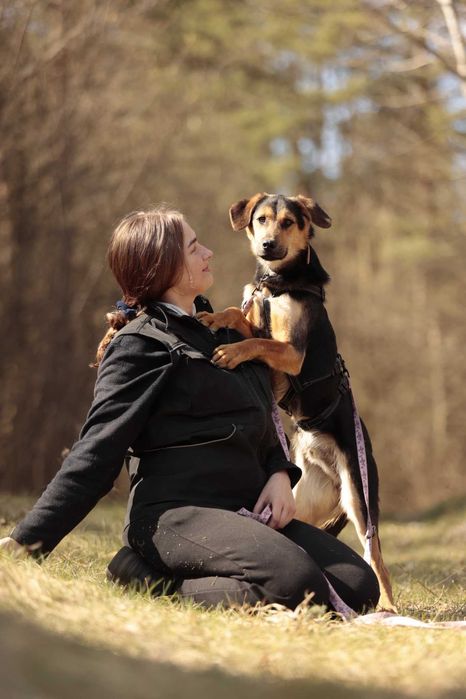 Orz – 15 kg, młody, wrażliwy, robi ogromne postępy, do adopcji