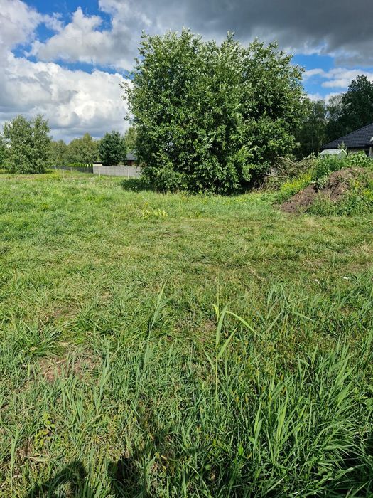 Działka 3475 m² ze stawem Waleriany - Widok 4