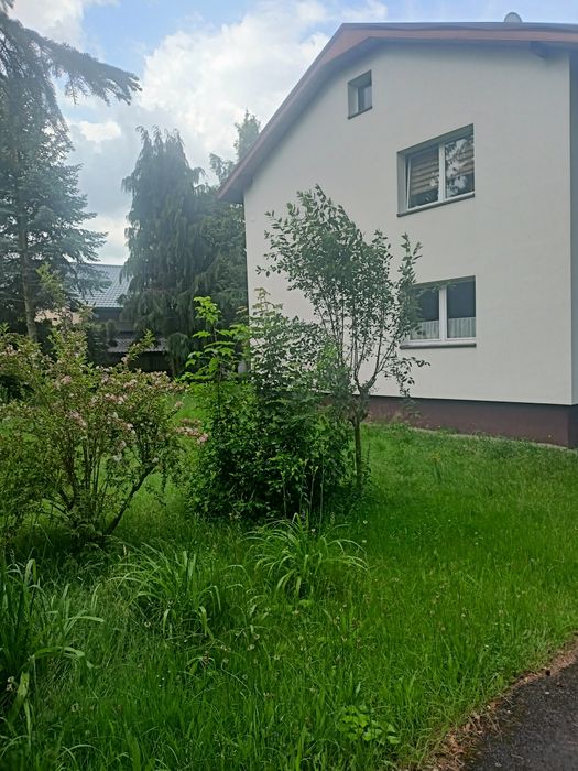Wynajmę mieszkanie