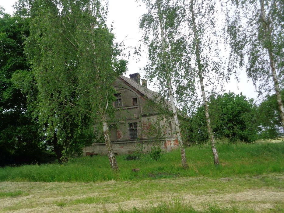 Dom – Krzeszyce - Widok 4