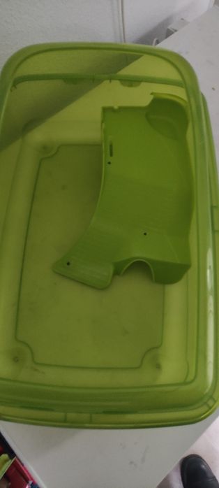 Tartarugueira verde