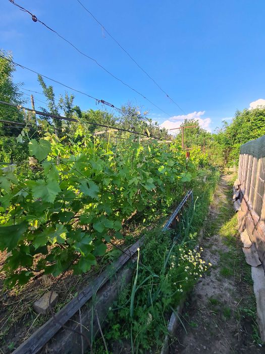 Продається дача через 4-5 місв с.Привільне Зп.обл.