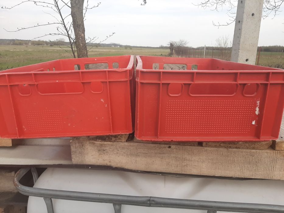 Pojemniki E2,Skrzynki plastikowe, pojemniki na mięso,wędliny