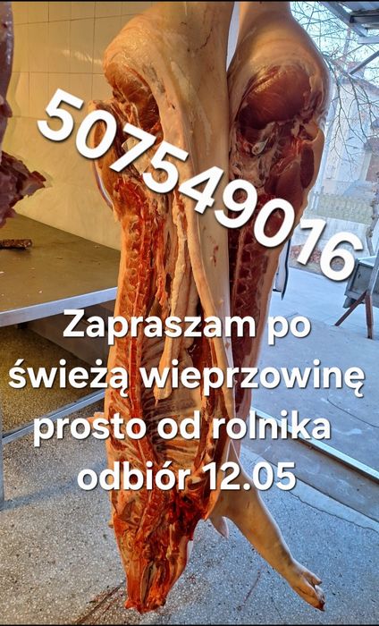 Półtusze wieprzowe