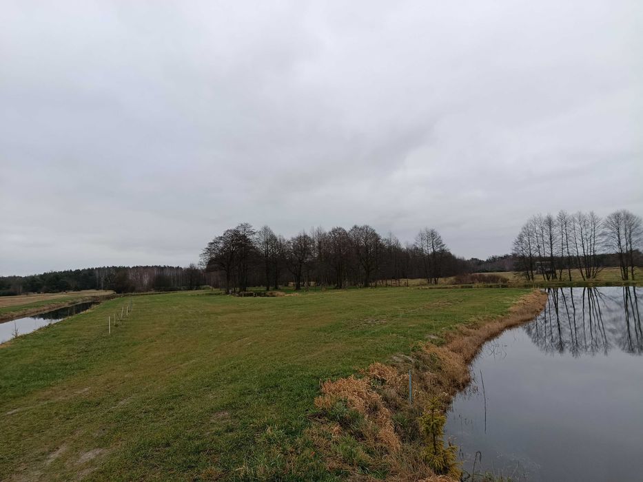 Sprzedam działki pod zabudowę Kłódzie gm. Skórzec