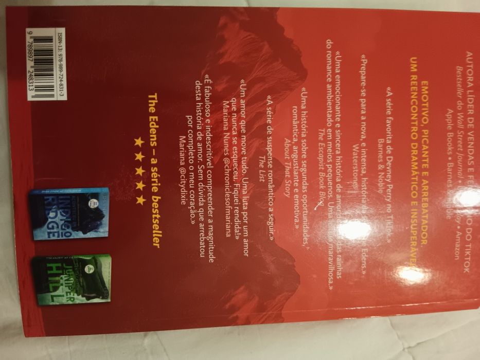 Desejo ardente-livro