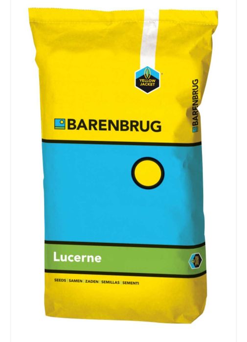 Lucerna Yellow Jacket Barenbrug