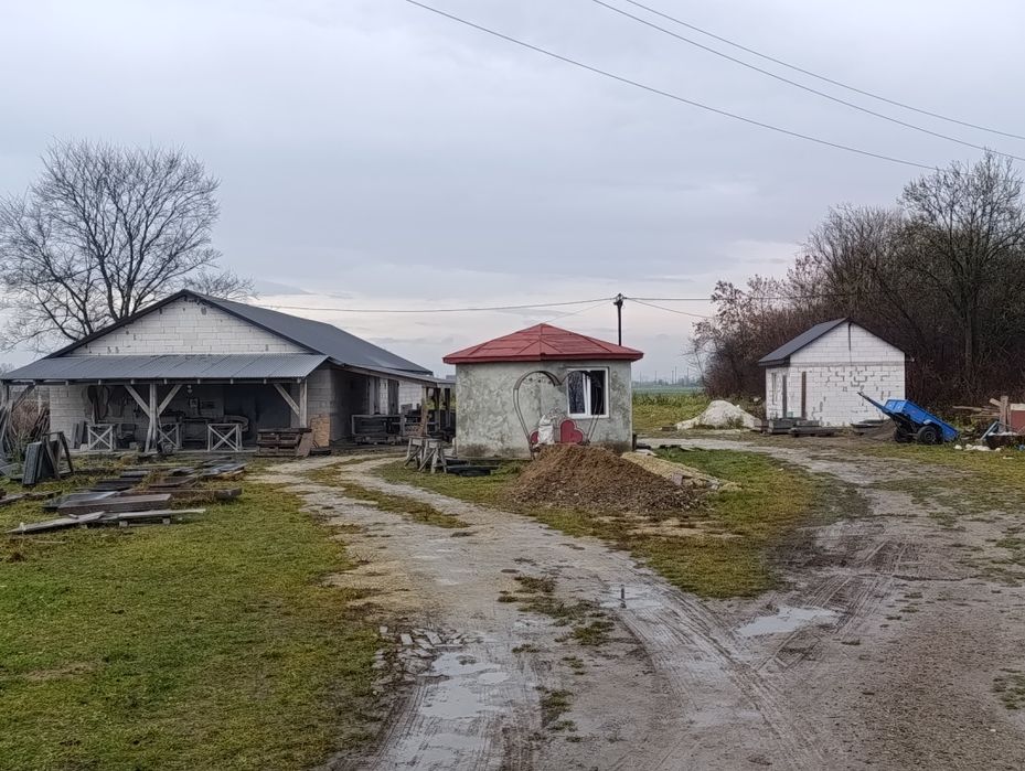 Здам в оренду територію та приміщення під автошрот , тощо..