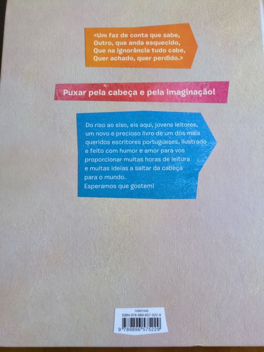 Sete Coisas que eu Cá Sei de Vergílio Alberto Vieira