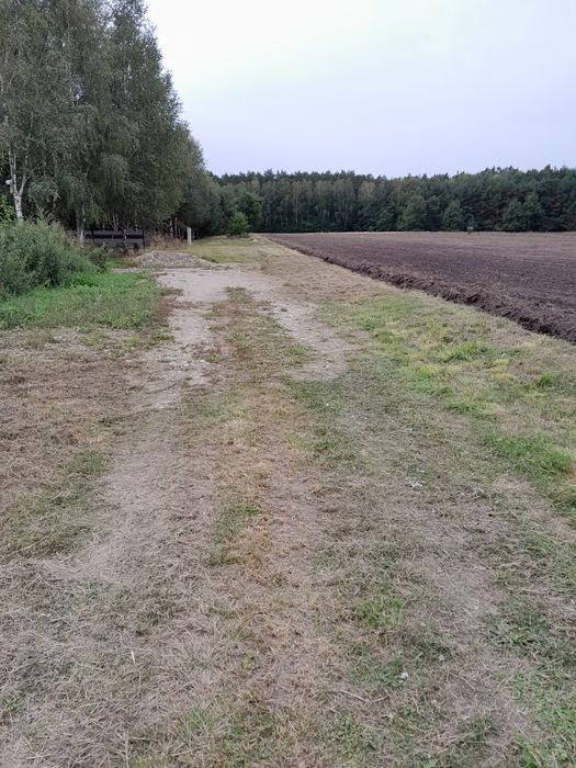 Działka budowlana w Rokitnicy - Więcej