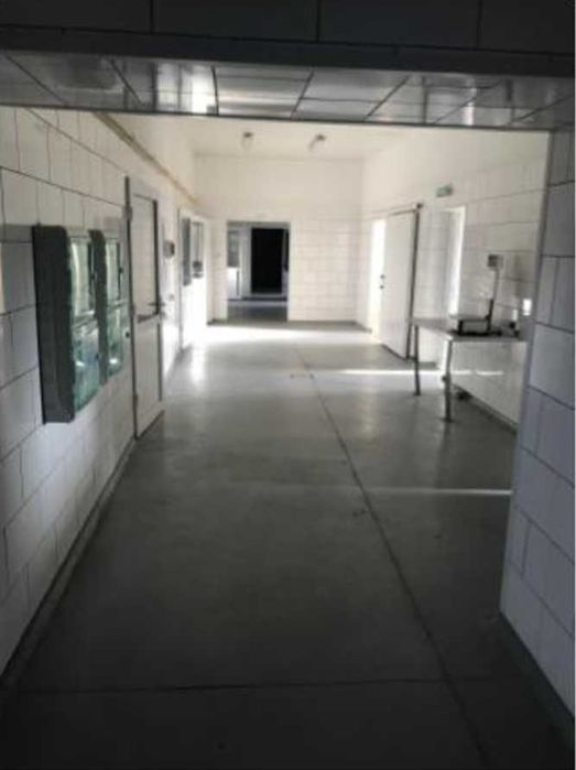 Przetwórnia i kompleks inwestycyjny ok. 3 ha – Gołębiewo - Widok 3