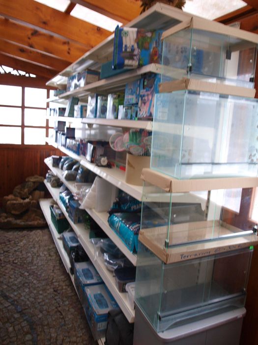 Akwarium proste 100x40x50 szkło 8mm/200l.