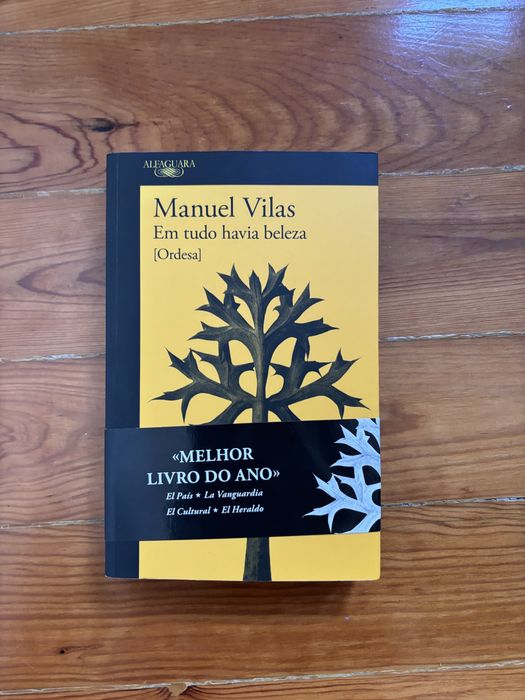 Em Tudo Havia Beleza, Manuel Vilas