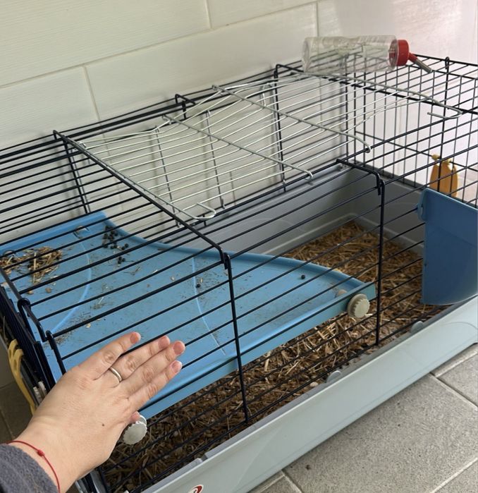 vendo gaiola para coelho/ oorauinho da india