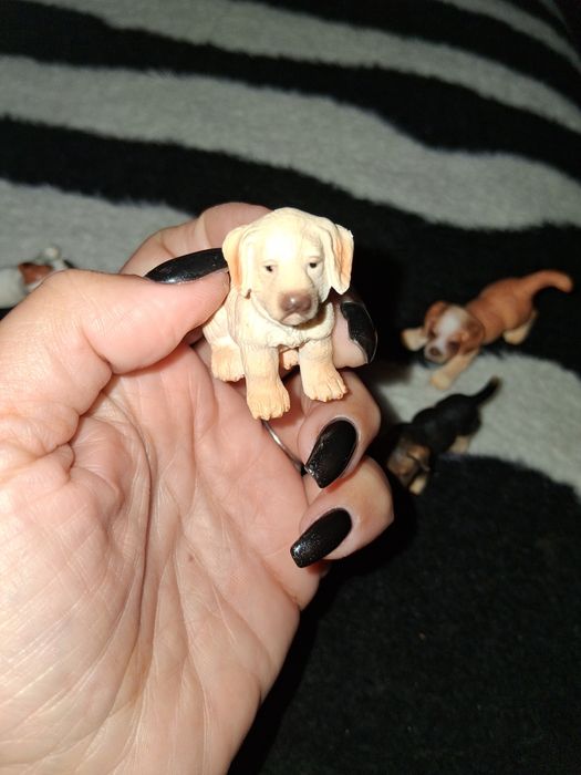 Coleção cães (12)